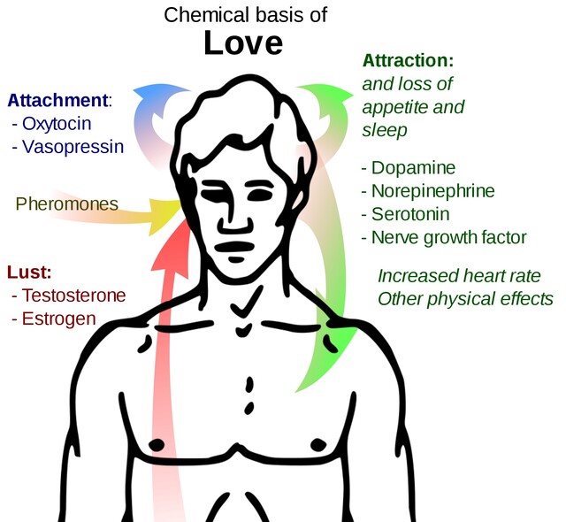 Pheromones - Defined