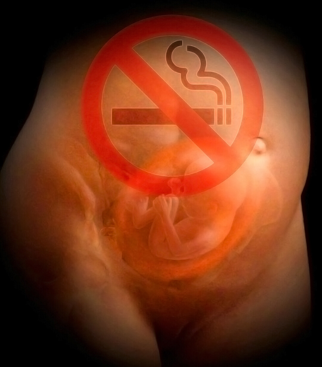tobacco industry history History of tobacco tobacco industry history History of tobacco