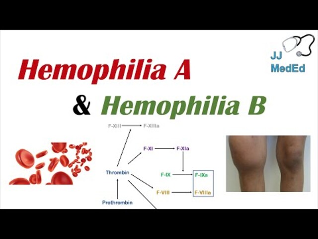 What Is Hemophilia?