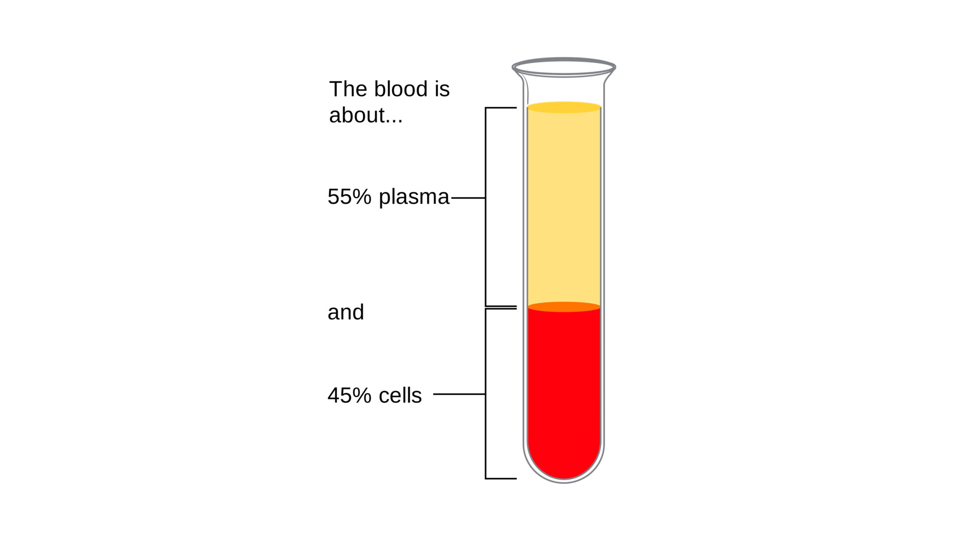 Albumin/Globulin Ratio: Why Is It Done and What the Numbers Mean - StoryMD