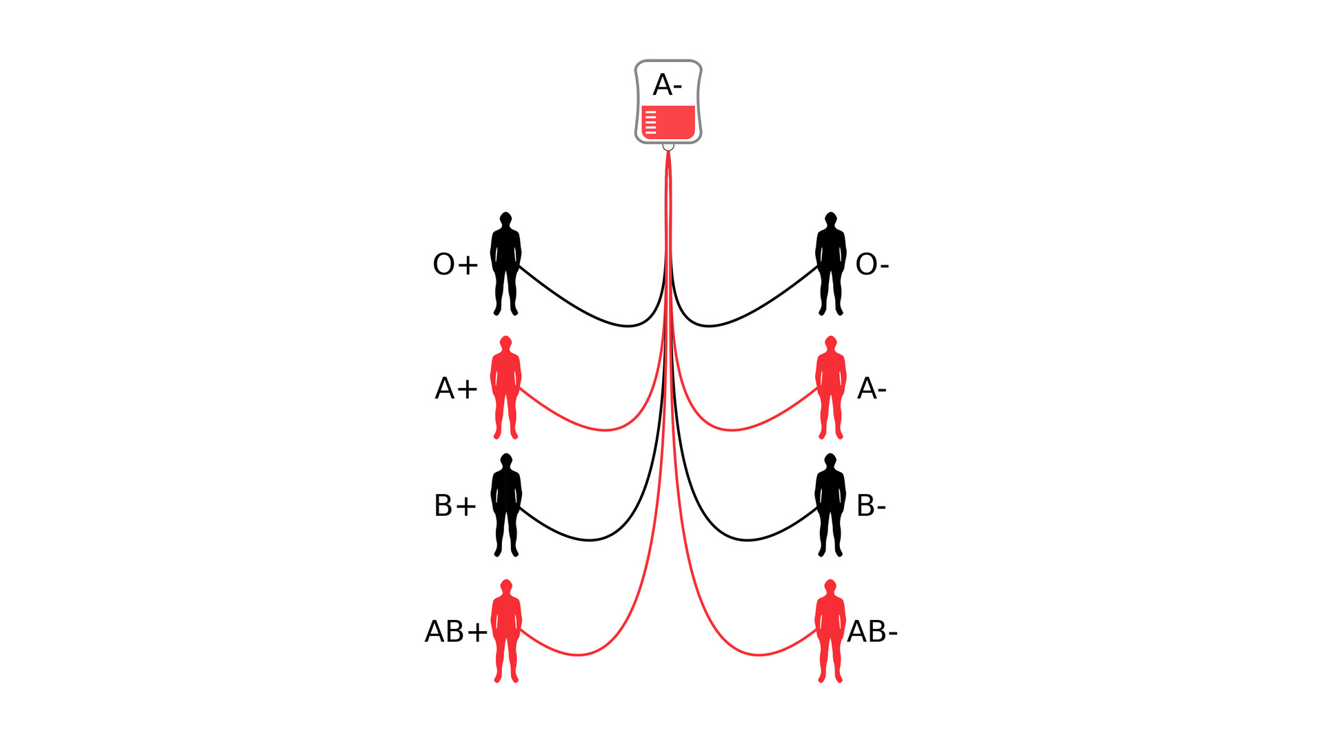 blood-typing-storymd