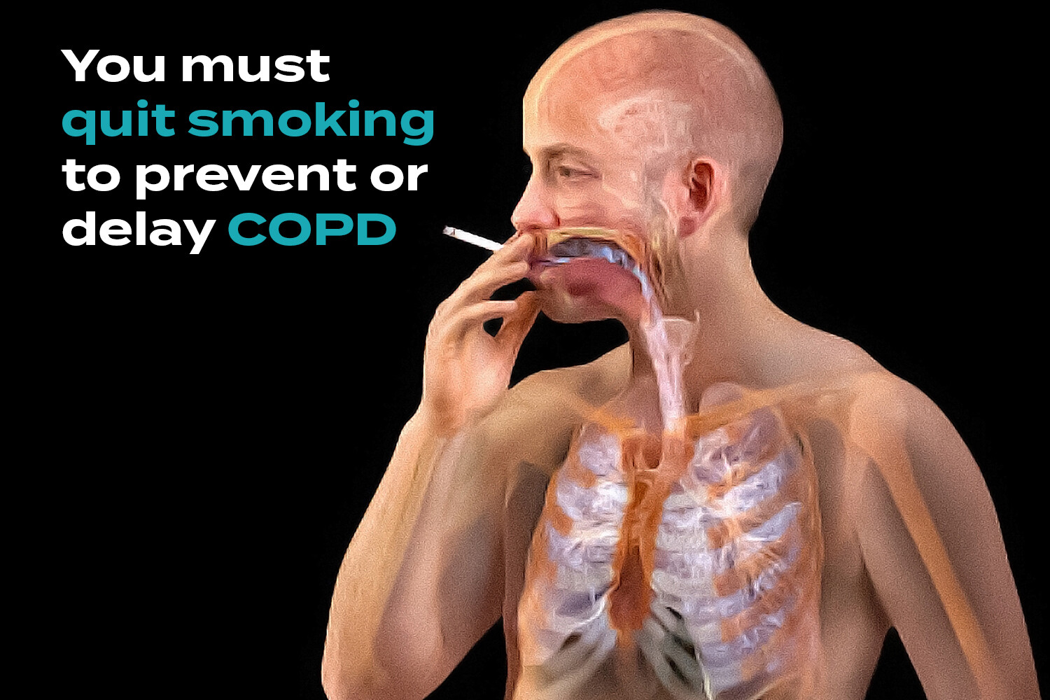 cigarettes and copd Be Grateful for Your Lungs — You Won't Get Very Far Without Them