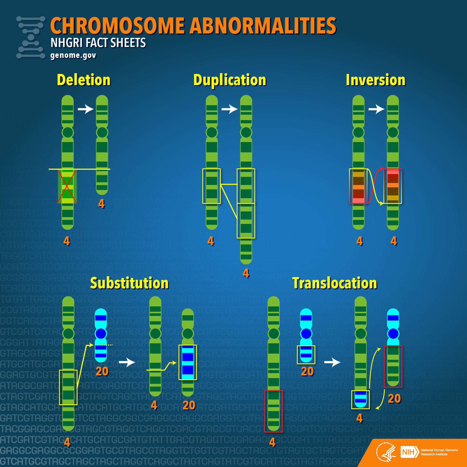 Chromosome Deletion Syndrome