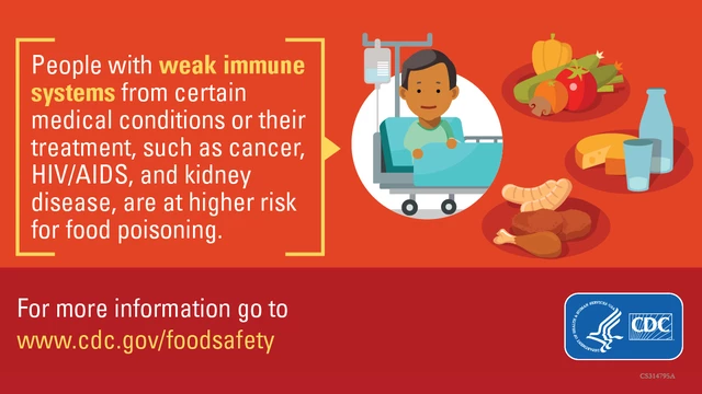 Food Emulsifiers and Chronic Disease Risk—What's the Link?