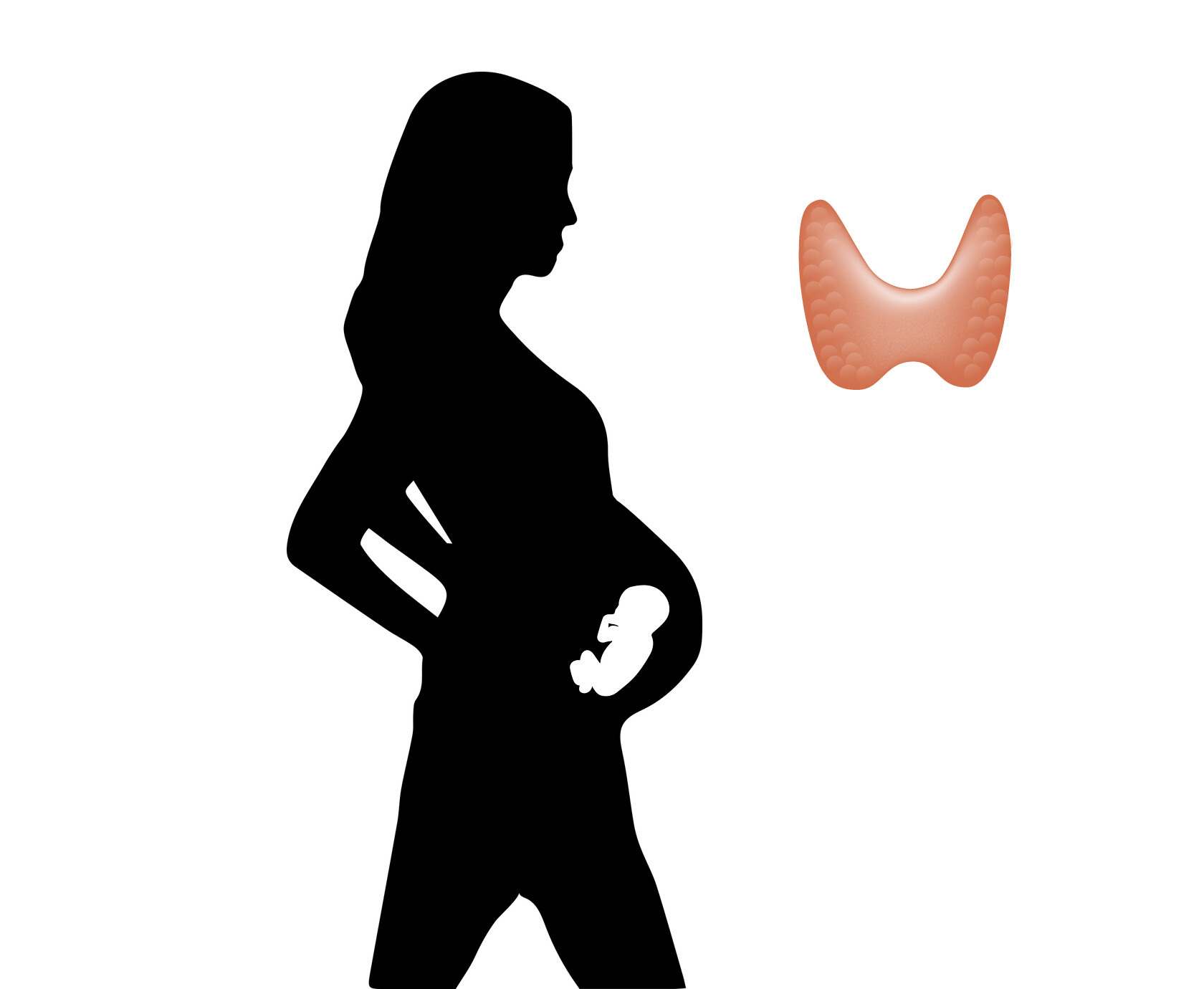 how-does-hashimoto-s-disease-affect-pregnancy-storymd