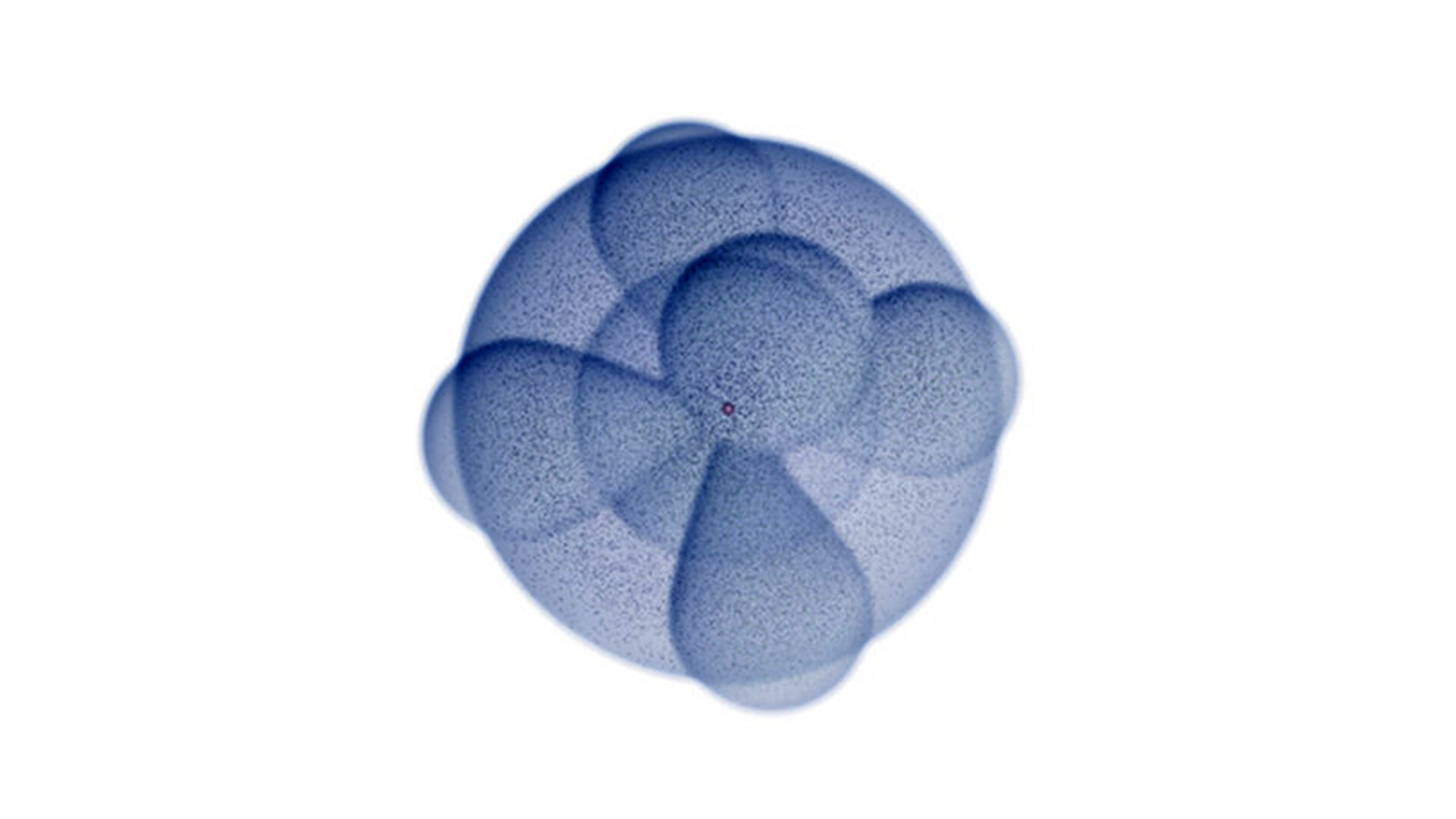 Sodium Blood Test Why Is It Done and What the Results Mean StoryMD