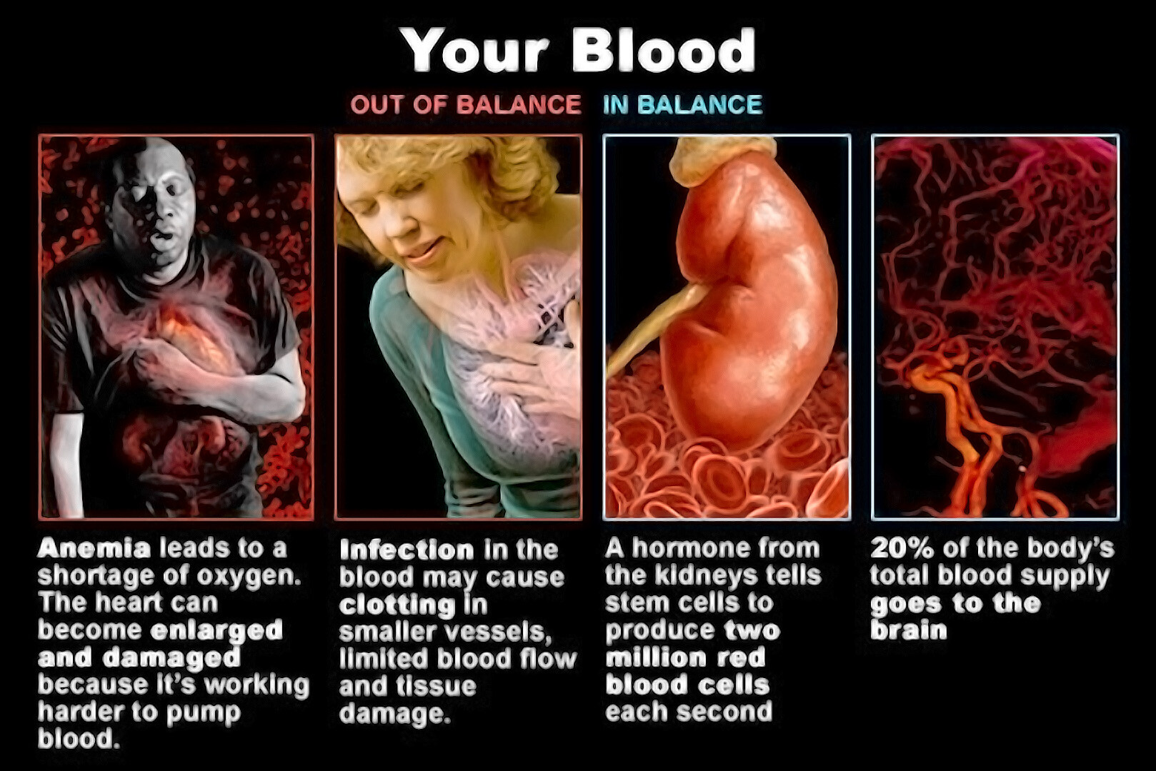 Does Leukemia Affect The Heart