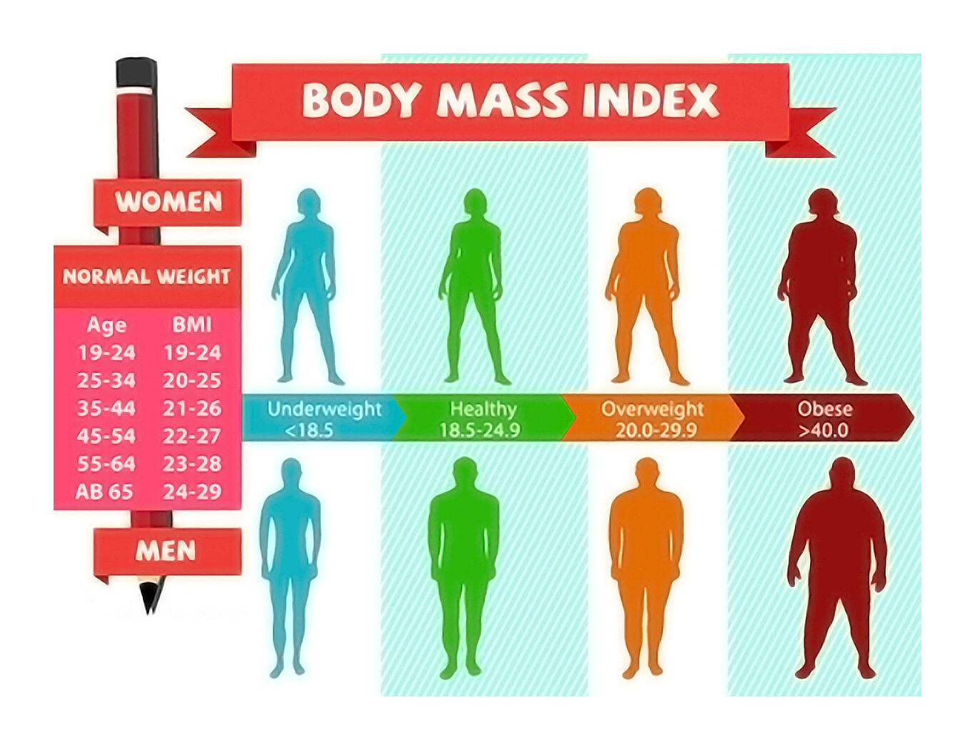 Overweight Vs Underweight Body Man Woman Body Woman With ideal Body Overweight Vs Underweight Body Man Woman Body Woman With ideal Body