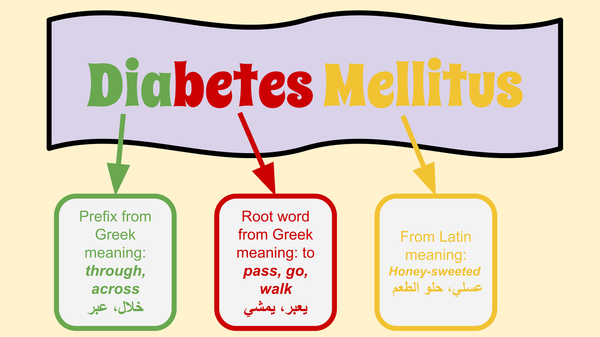 Diabetes Mellitus Types, Symptoms, and Diagnosis   StoryMD