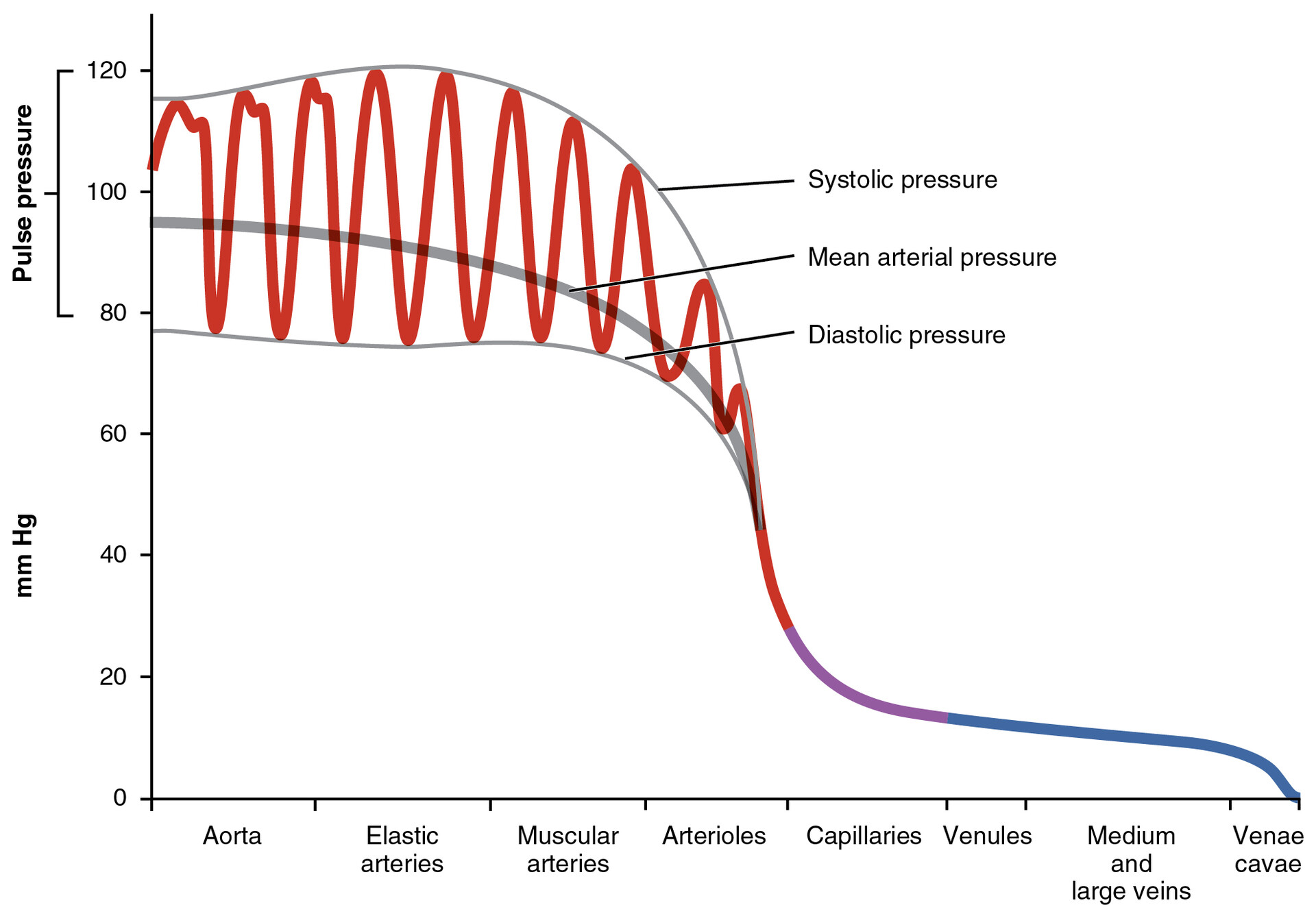 Different Types Of Arterial Lines