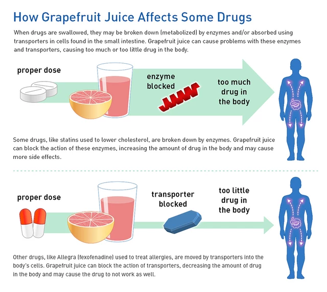 Drug Nutrient Interactions Grapefruit StoryMD