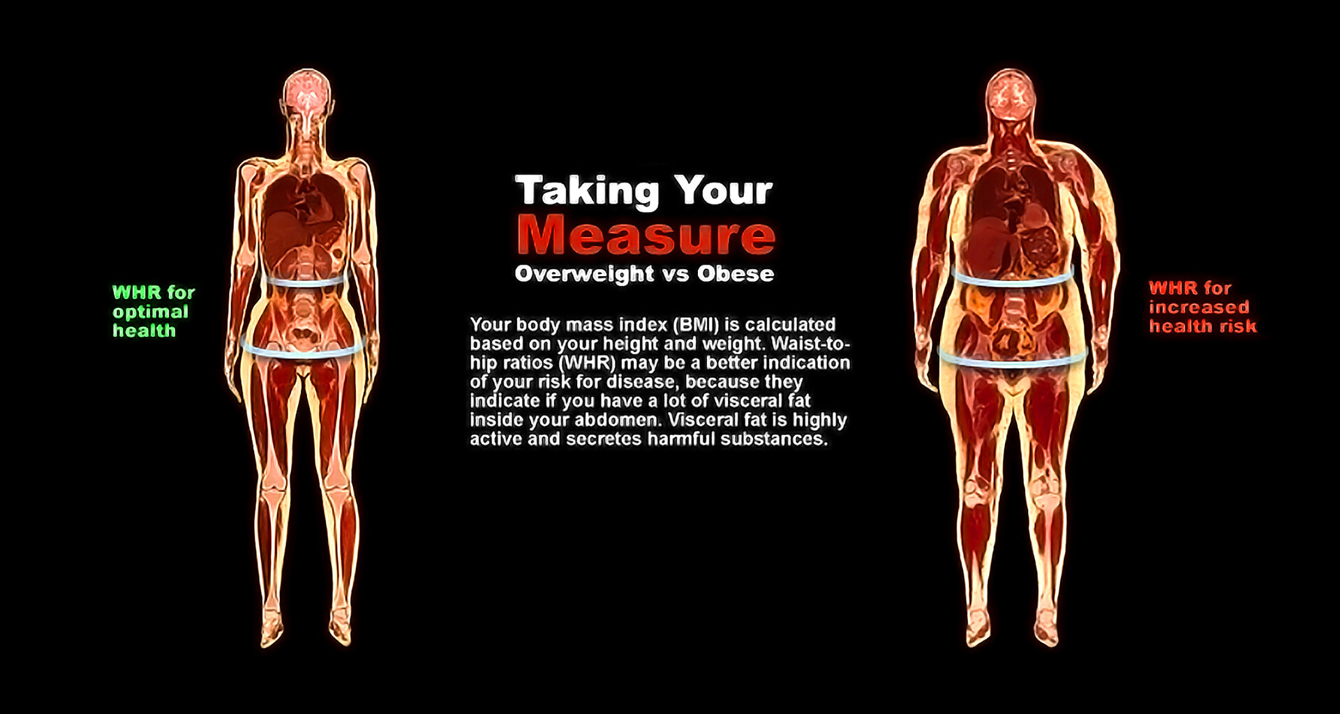 How to Measure Hips and Waist Ratio