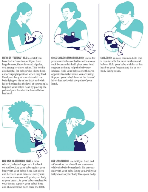 Cradle Hold  WIC Breastfeeding Support