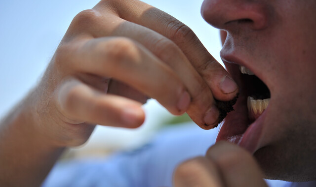 swallowing dip tobacco Is It Safe to Snuff Tobacco? Health Risks and Potential Concerns Smokeless Tobacco & Your Oral