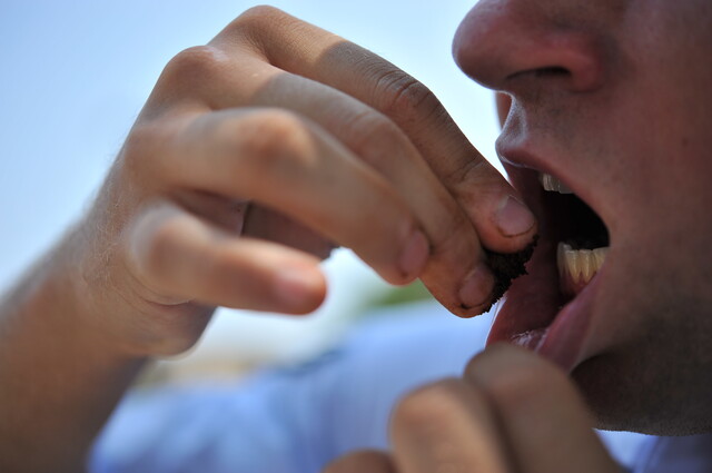 chewing tobacco meaning Smokeless tobacco: Just an issue for blue-collar workers? What Is Smokeless Tobacco? -