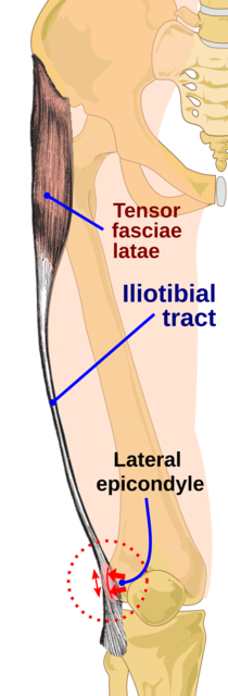 Iliotibial Band Syndrome Of The Knee - Everything You Need To Know