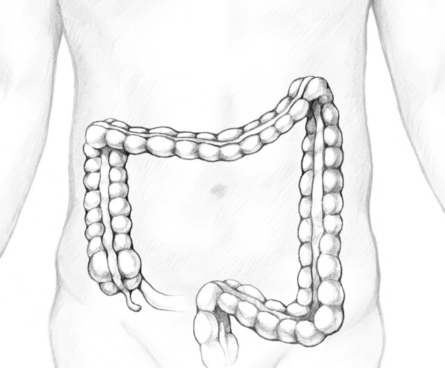 Colon Ki Drawing
