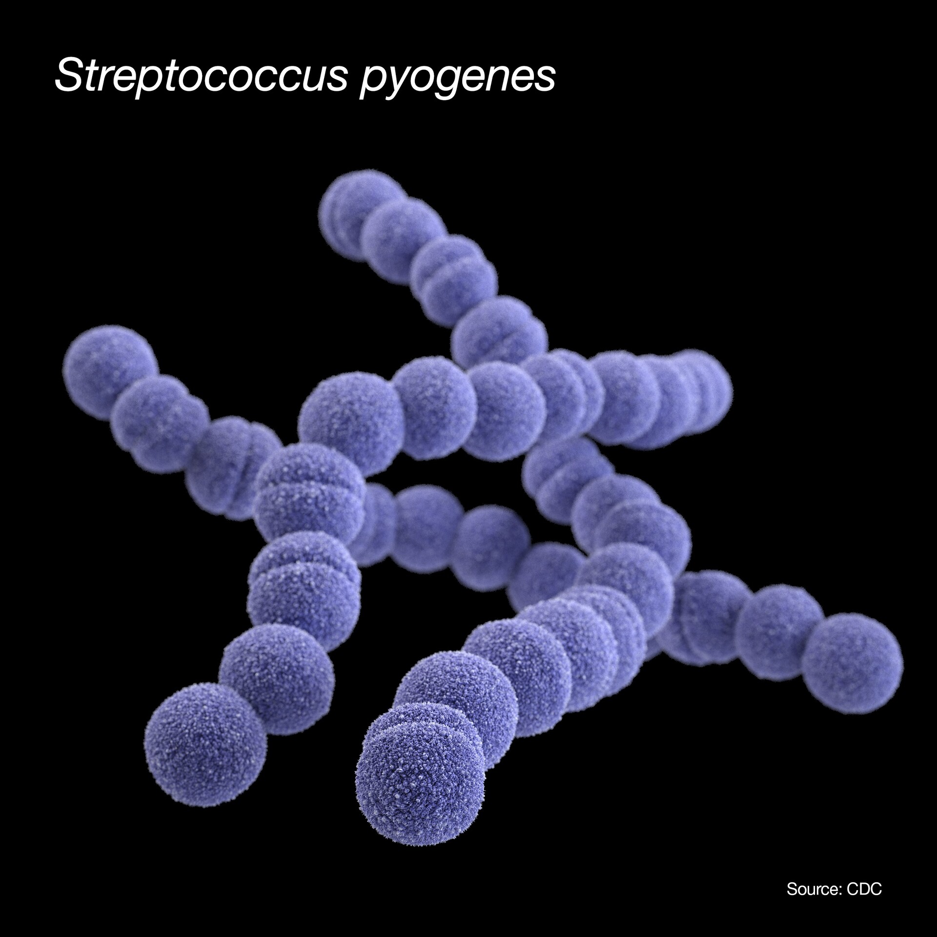 Strep A Test: Why Is It Done and What the Results Mean - StoryMD