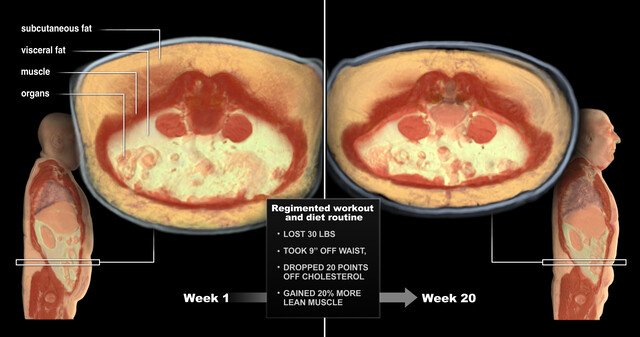 See the changes of weight loss
