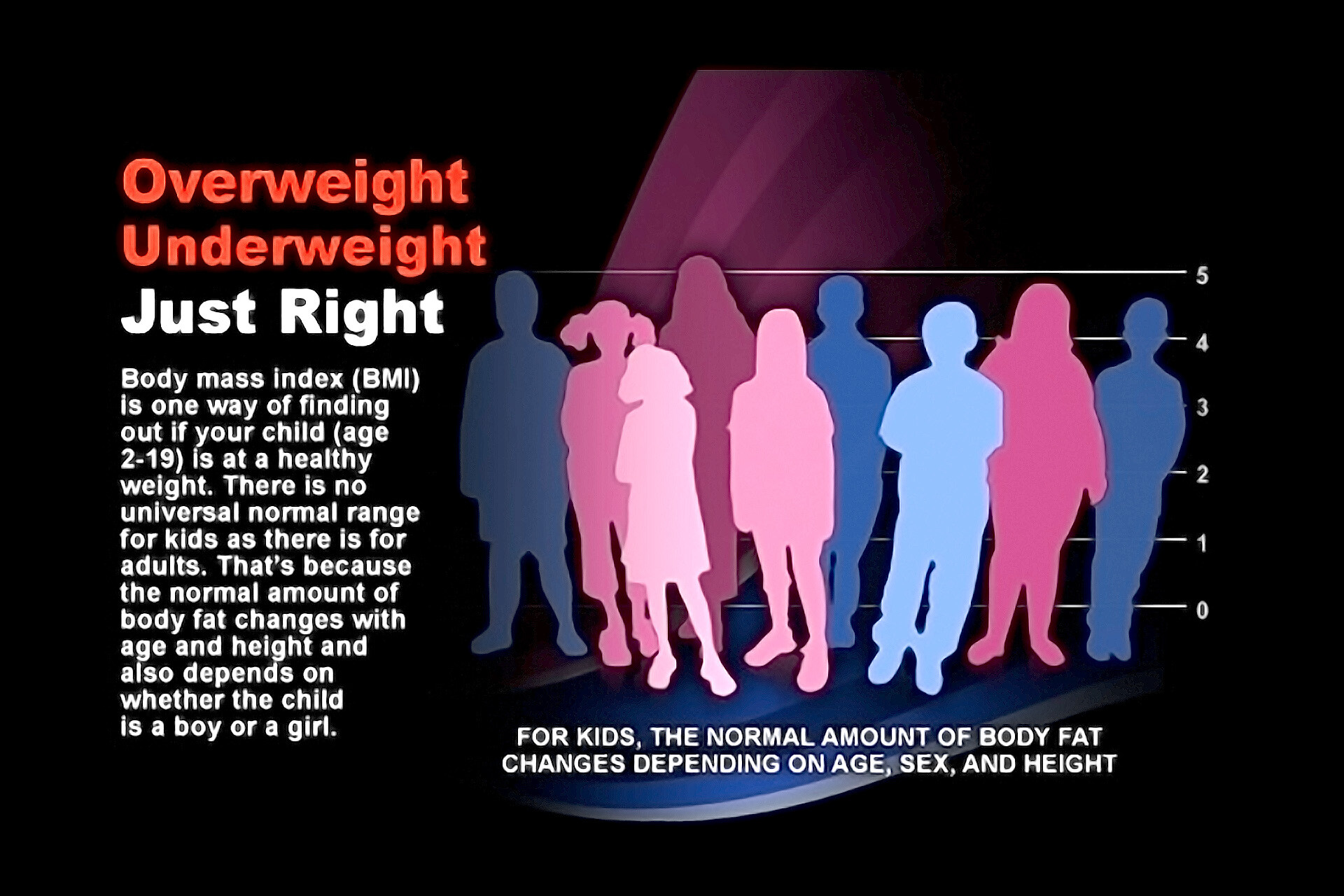 how-are-overweight-and-obesity-diagnosed-storymd