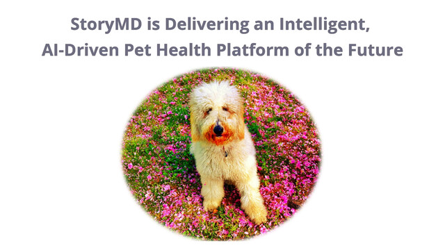 Watch: StoryMD is Delivering an Intelligent AI-Driven Pet Health Platform of the Future