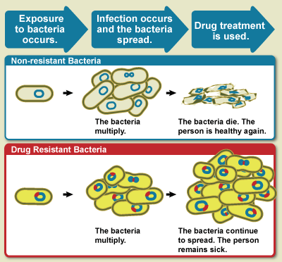 Staphylococcal Infections - StoryMD