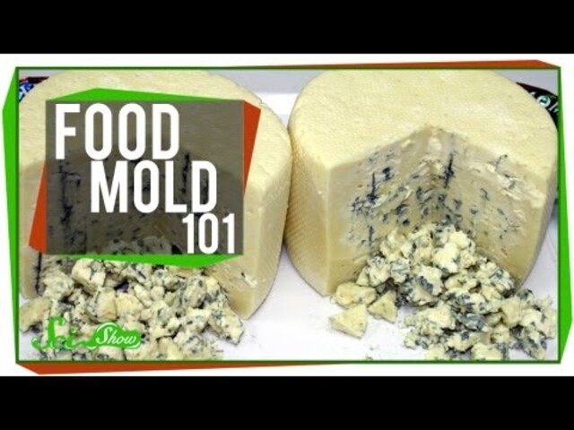 What Are Some Common Foodborne Molds? - StoryMD