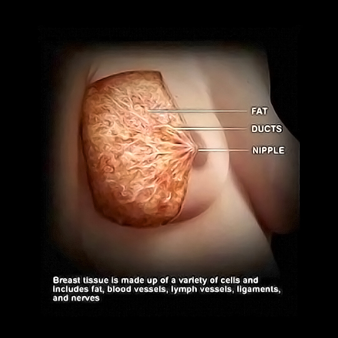 Female breast anatomy - Mayo Clinic