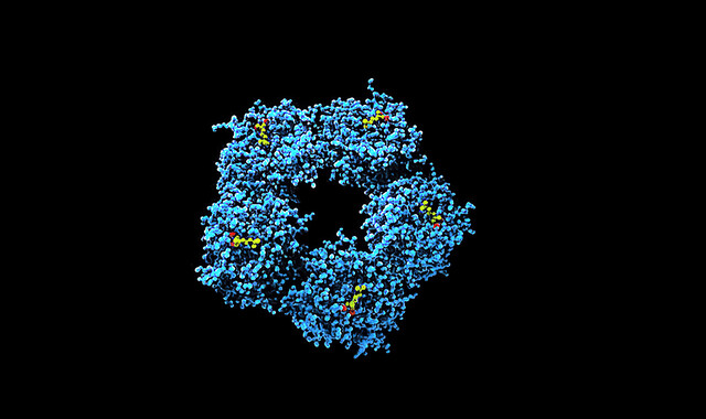 C-Reactive Protein (CRP) Test: Why Is It Done and What the Results Mean ...