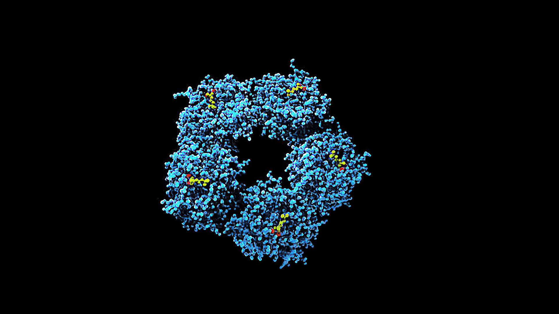 C Reactive Protein Test Why Is It Done And What The Results Mean Storymd