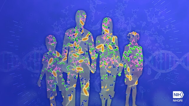 Anatomy And Normal Microbiota Of The Skin And Eyes 700x381