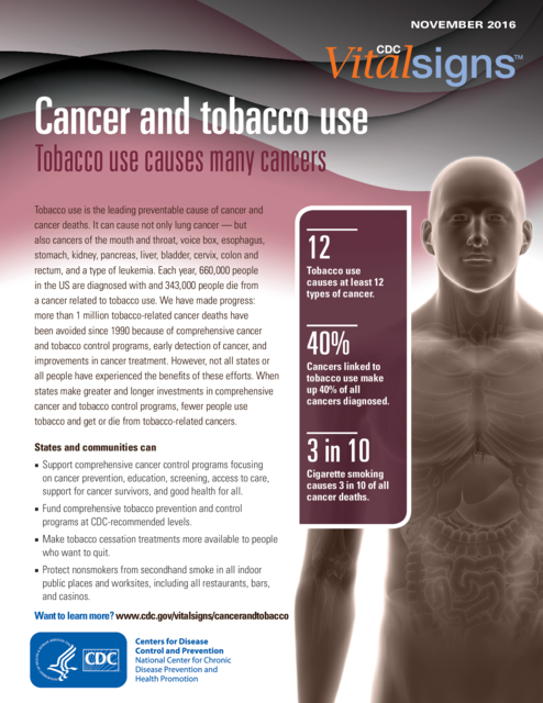 different tobacco types Cigar Tobacco Leaf Varieties