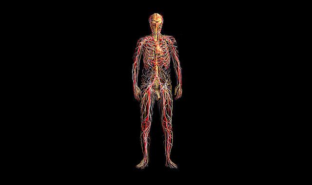 Hennekam Syndrome - StoryMD