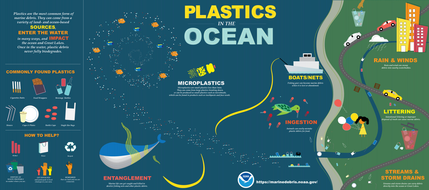 A Guide to Plastic in the Ocean