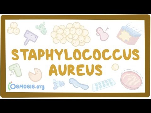 Staphylococcal Infections - StoryMD