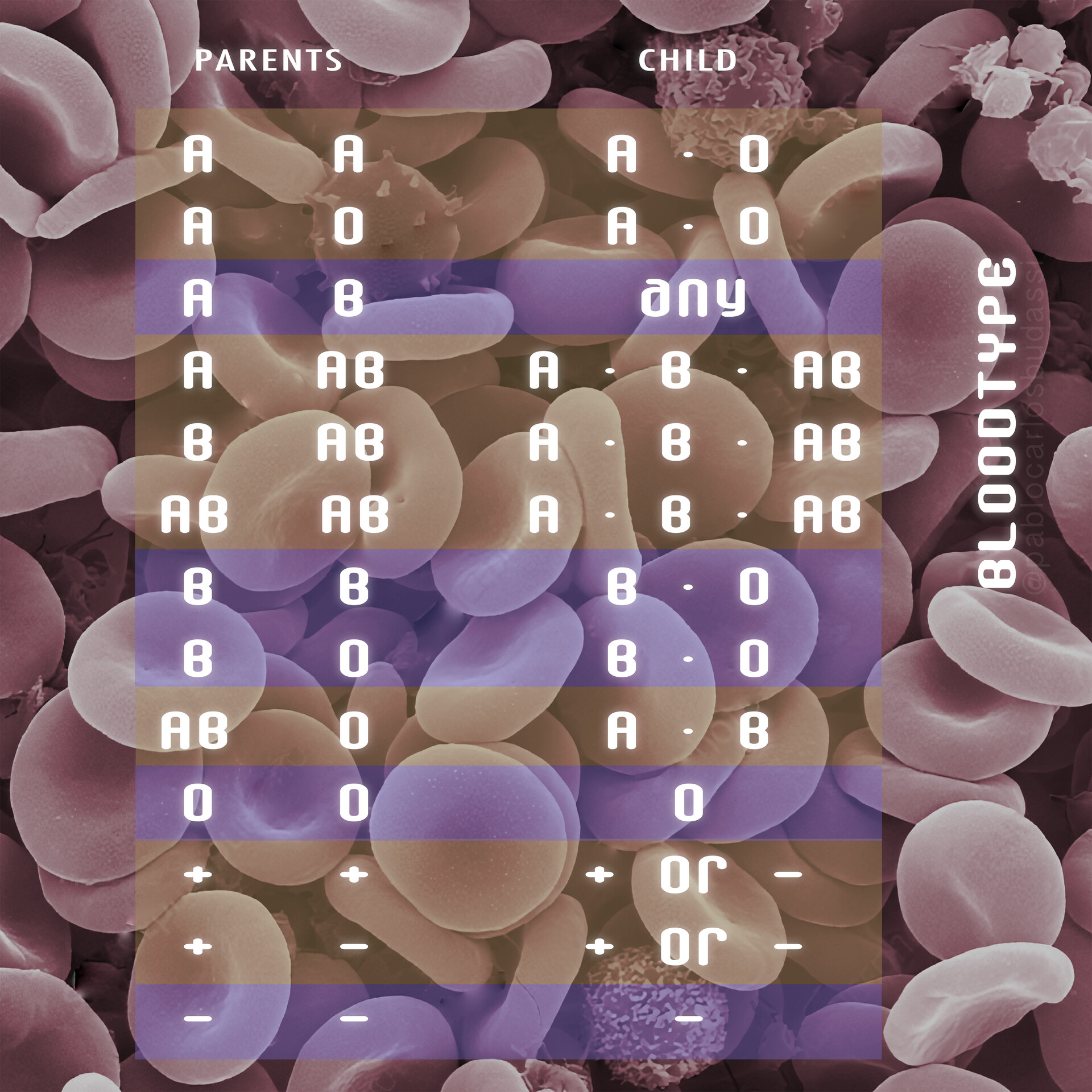 Blood Typing - StoryMD