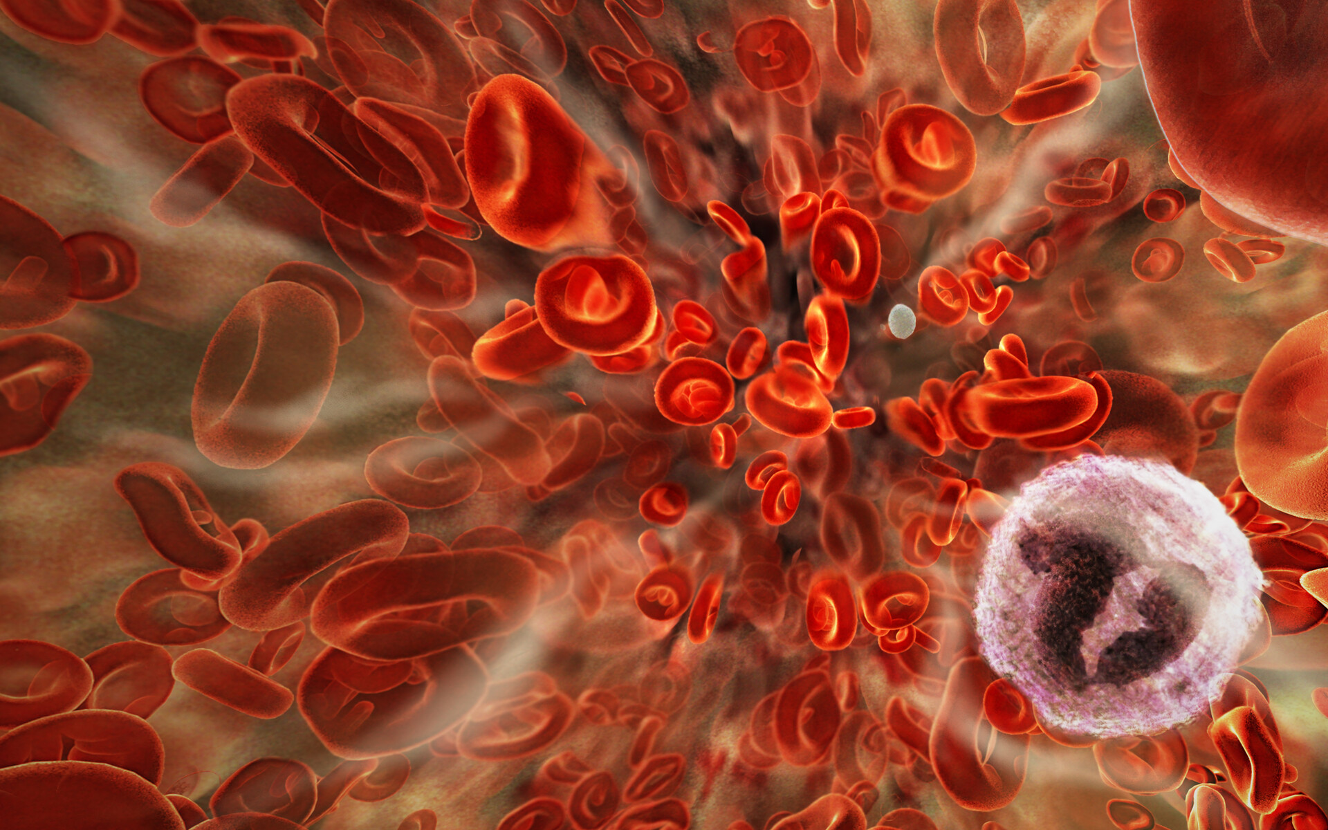 White Blood Cells Wallpaper