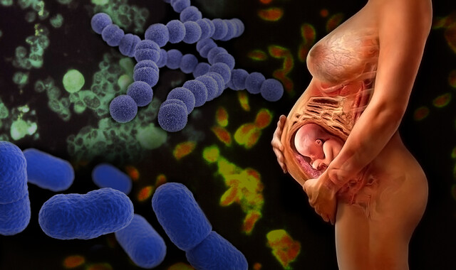 Common Infections During Pregnancy