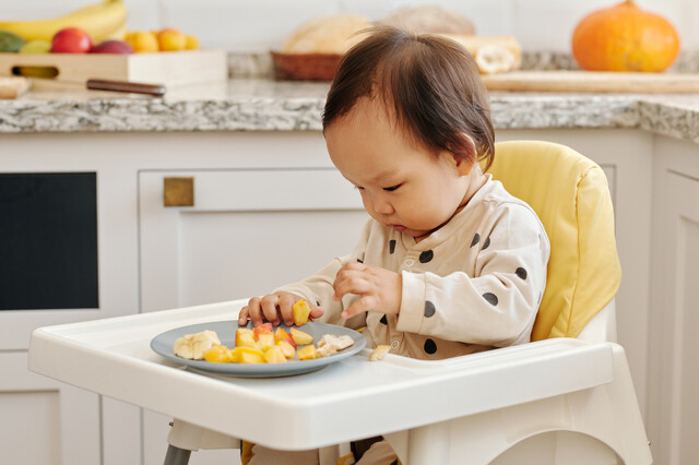 Starting solids: Baby-Led Weaning versus Spoon Feeding Purées