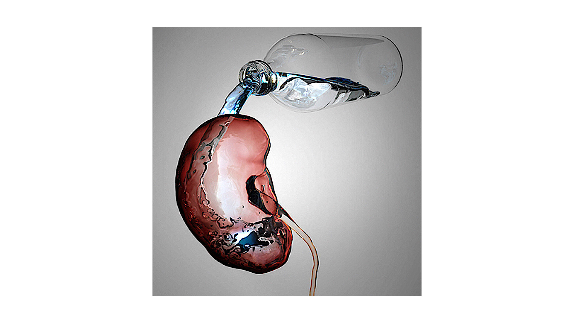 Water Balance StoryMD