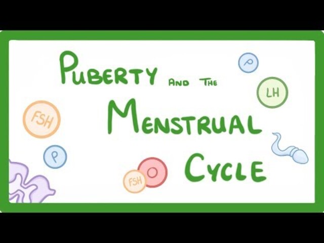 Why Your Boobs Hurt Before Your Period 