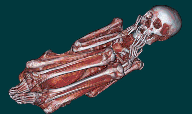 cover-thumb.jpg