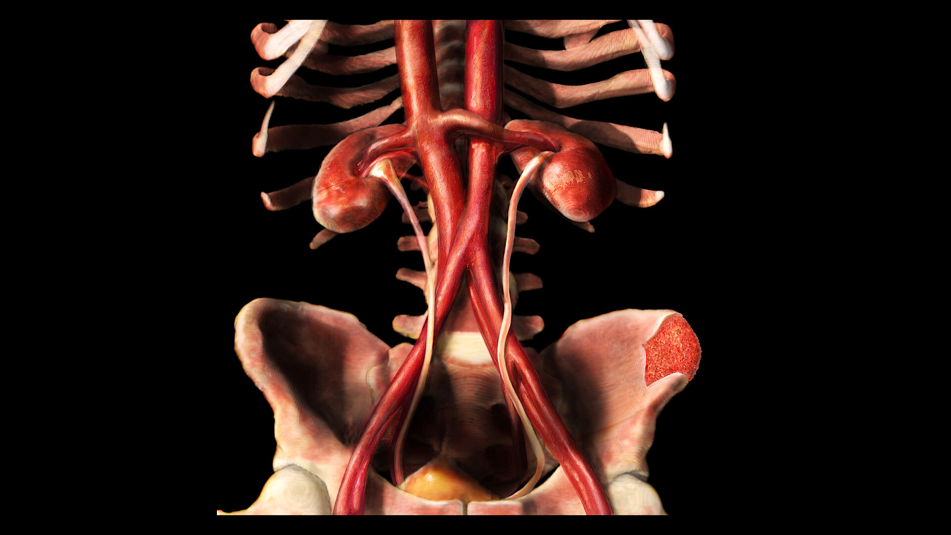 microalbumin-creatinine-ratio-why-is-it-done-and-what-the-results-mean