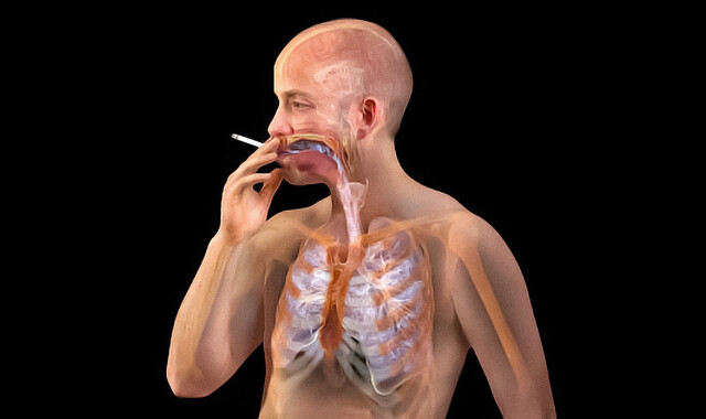 human cigarette Smoking