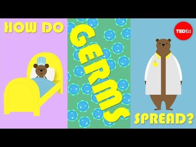 How Do Germs Spread Between Animals and People? - StoryMD