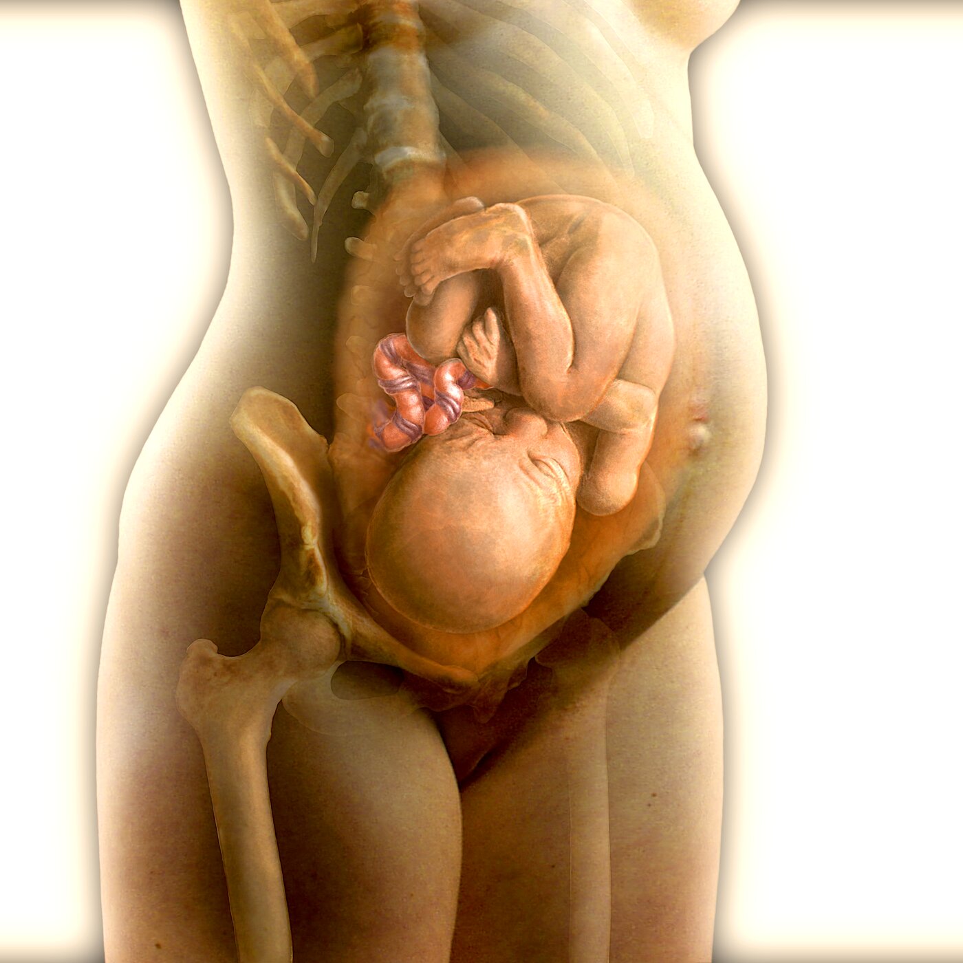 Weight, Fertility, and Pregnancy — I Finally Get What the Doctor Has Been Telling Me episode artwork