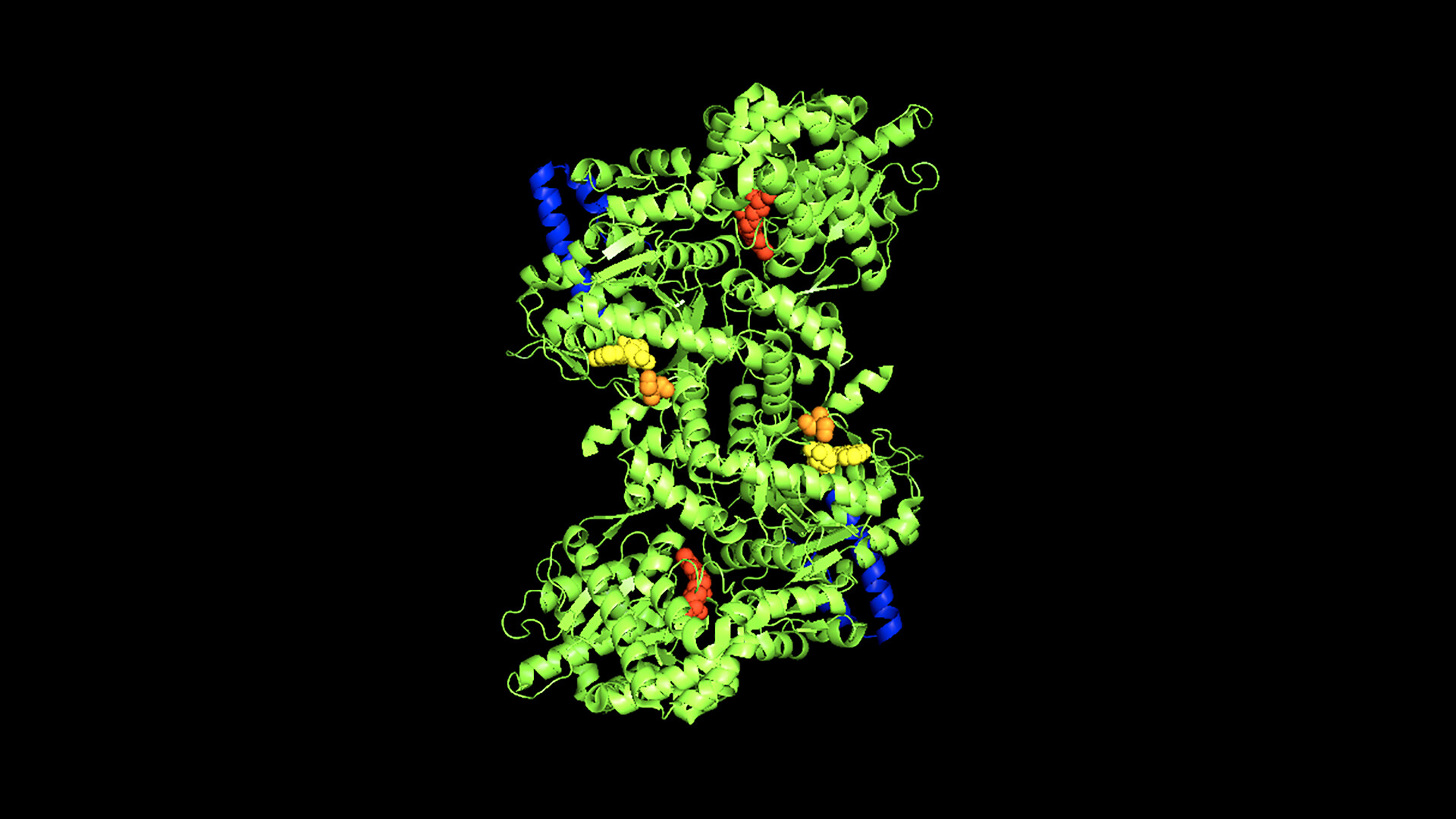 Glycogen Storage Disease Type XIII StoryMD