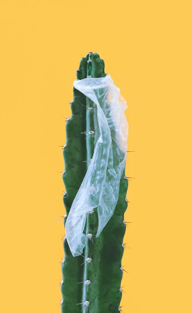 Male Condoms - StoryMD