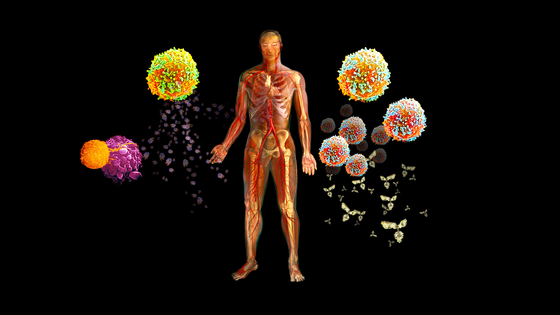 Strengthen Immune System